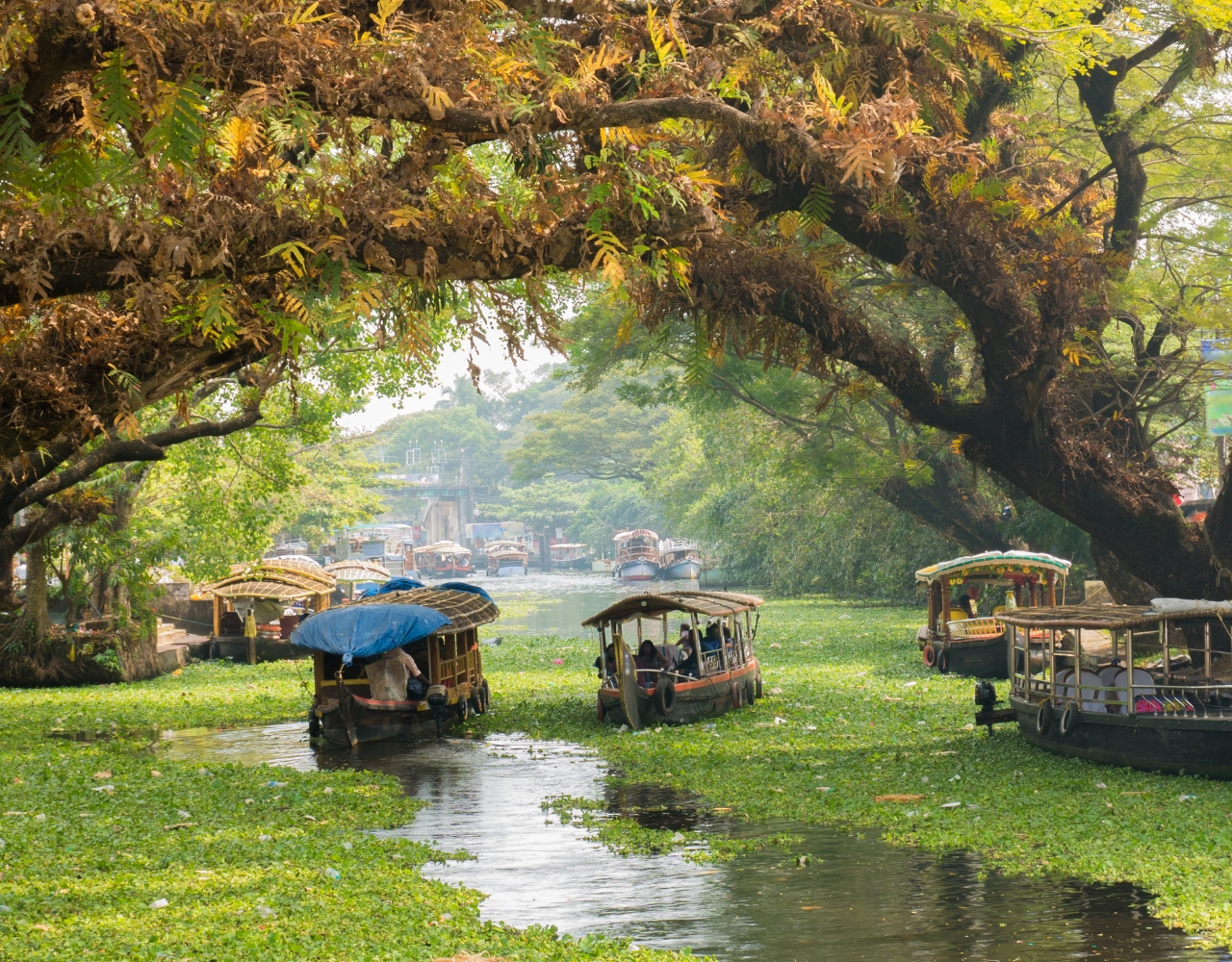Kerala Backwaters Tour